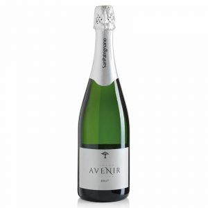 Tucci - Bere - Spumanti Italiani - Avenir brut metodo classico SAN PATRIGNANO - 0,75