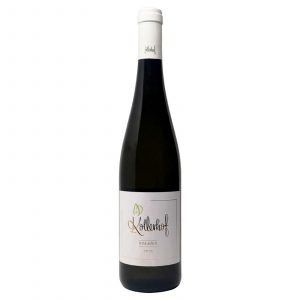 Tucci - Bere - Vini Bianchi - Kollerhof Solaris 2018