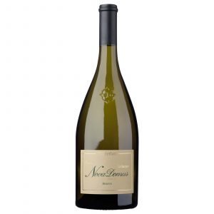 Tucci - Bere - Vini Bianchi - Terlan Nova domus 2015 - 1,5 lt